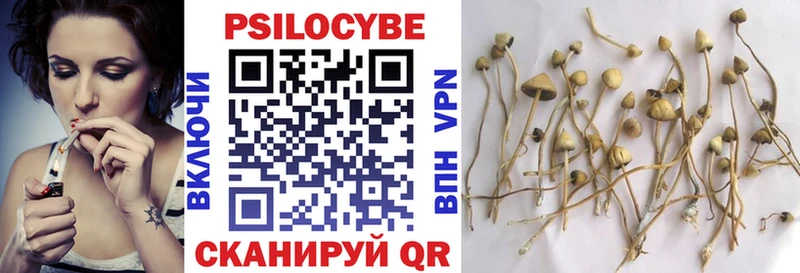 Псилоцибиновые грибы MAGIC MUSHROOMS  Онега 